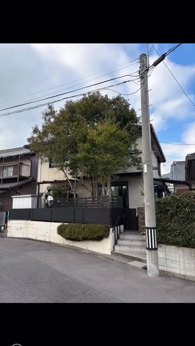 今回は、２階の屋根よりも高く伸びた木の剪定のお仕事を頂きまし...