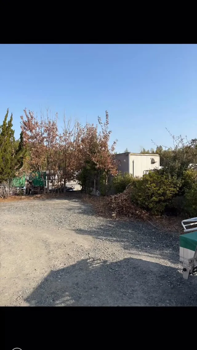 今回は、剪定と言いますか？木の高さを低くくして欲しい！とのご...