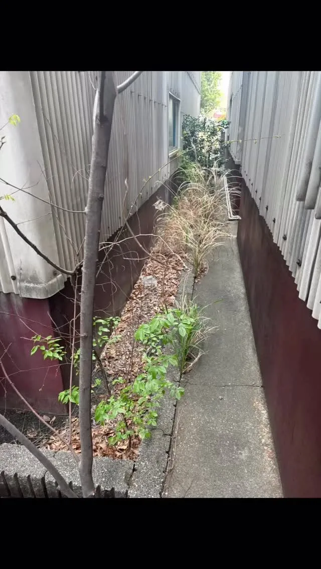 今回は、工場周りの除草のお仕事を頂きました。