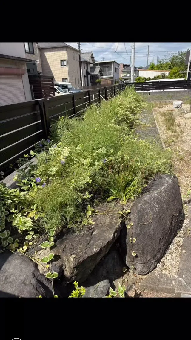 今回は、石で敷き詰められてるお庭の除草のご依頼を頂きました。