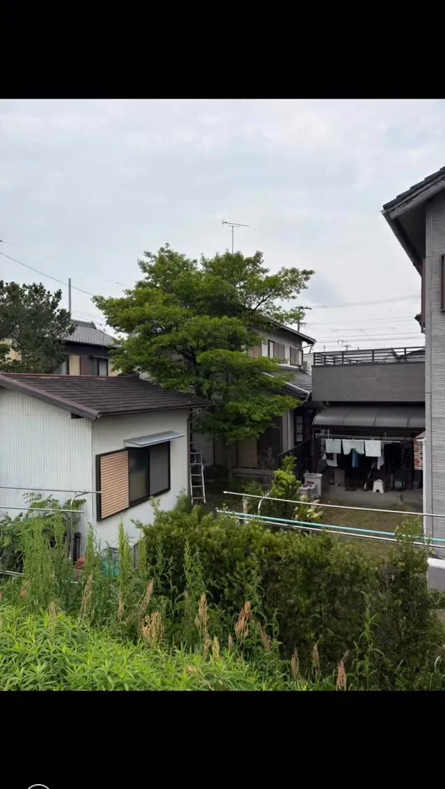今回は、２階の屋根よりも高いクロガネモチの木の剪定のお仕事を...