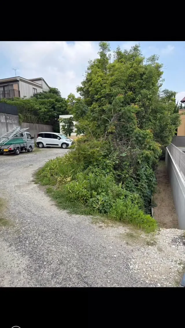 今回は、草刈り•伐採•剪定のフルコースのお仕事を追加で頂きま...