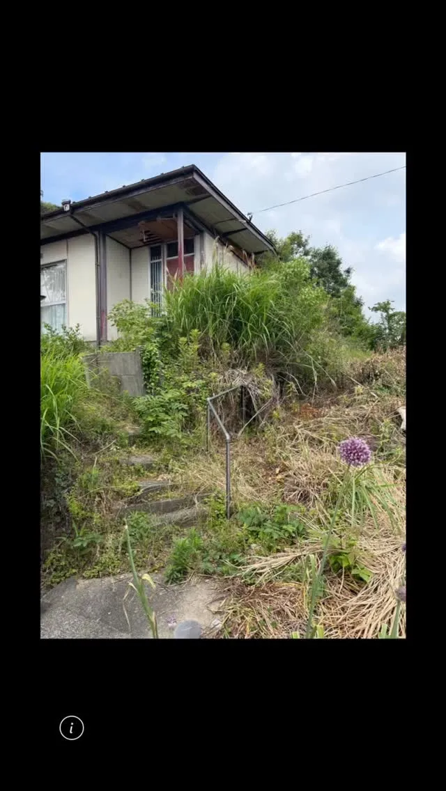 今回は、植物を全て撤去してから、防草シートを張る！という任務...