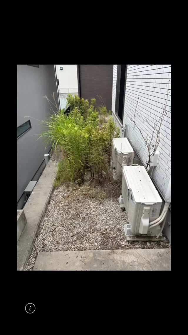 今回は、機械を一切使わない完全手作業でした。