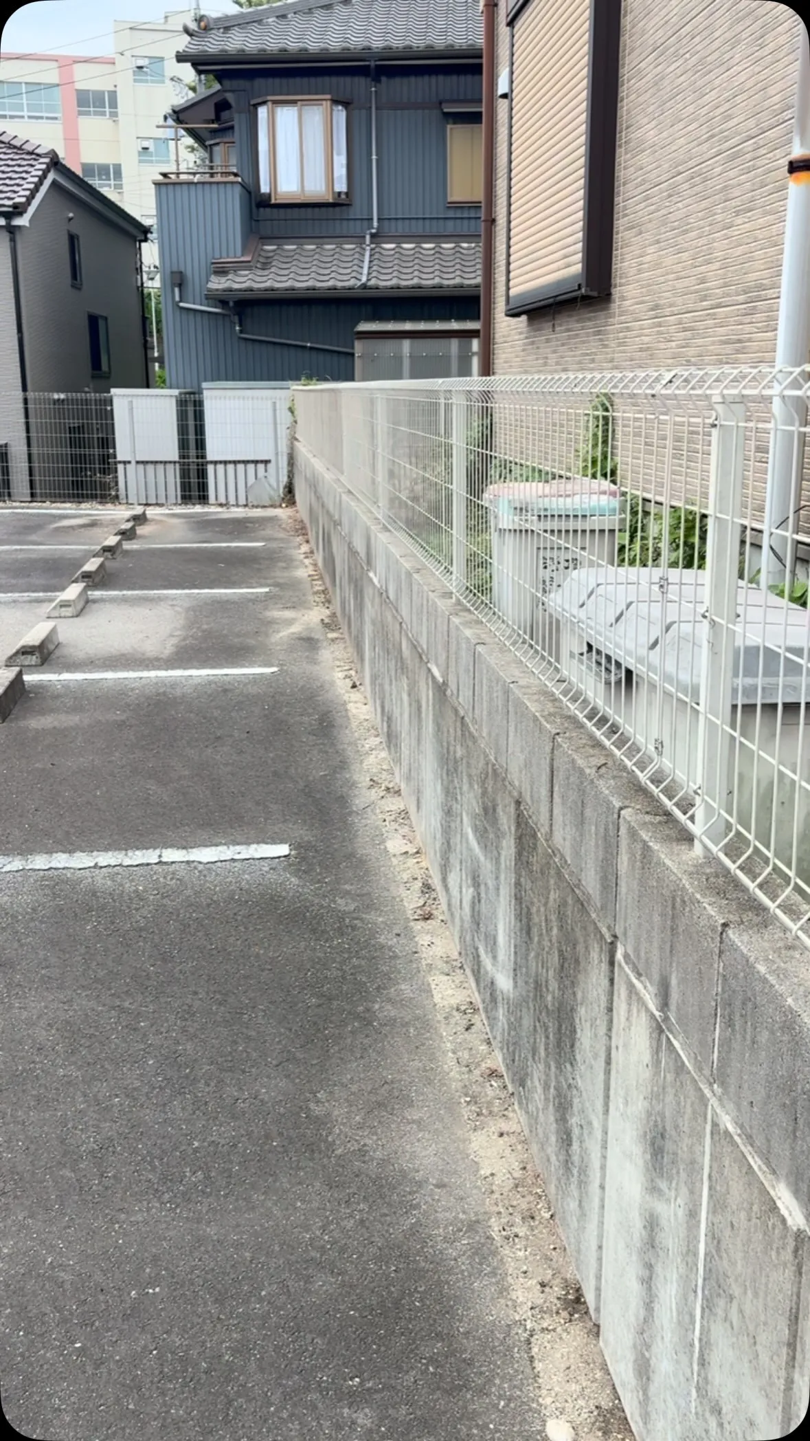 昨晩暗くなってて撮影出来なかったので、