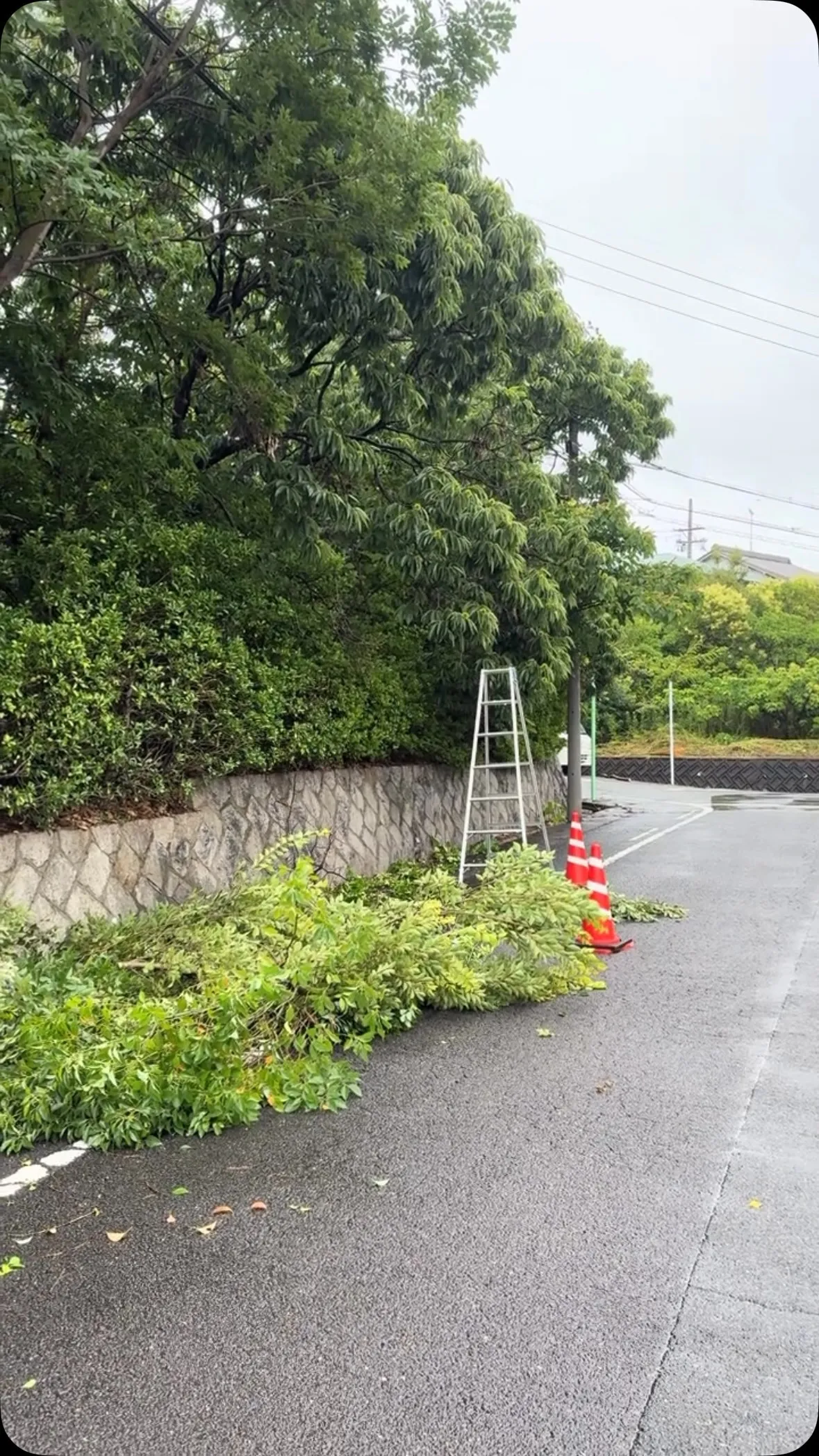 半日で、雨の中、ちょっとは進みまし