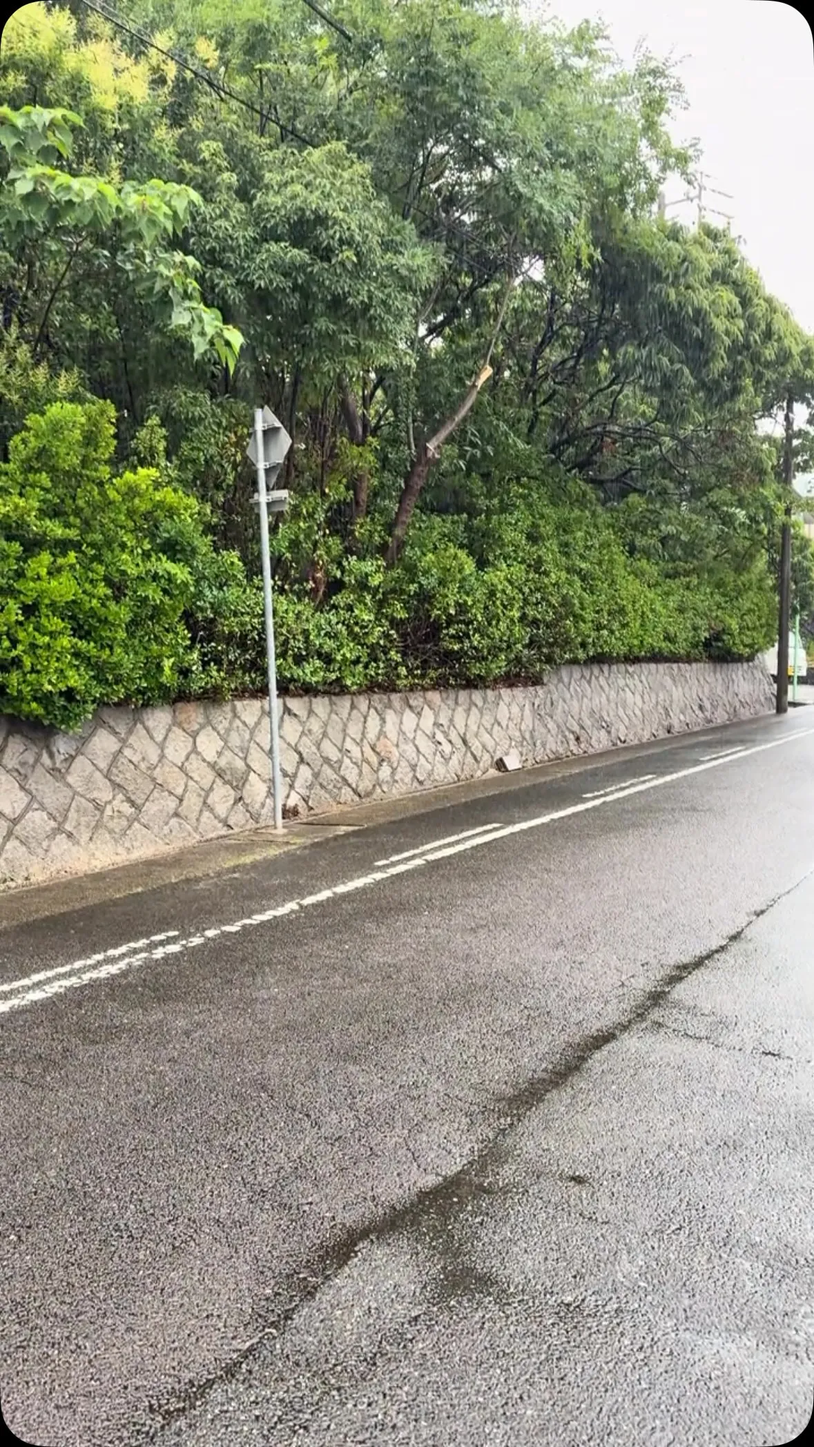 今日は朝から晩まで雨は止むことが無かったです。