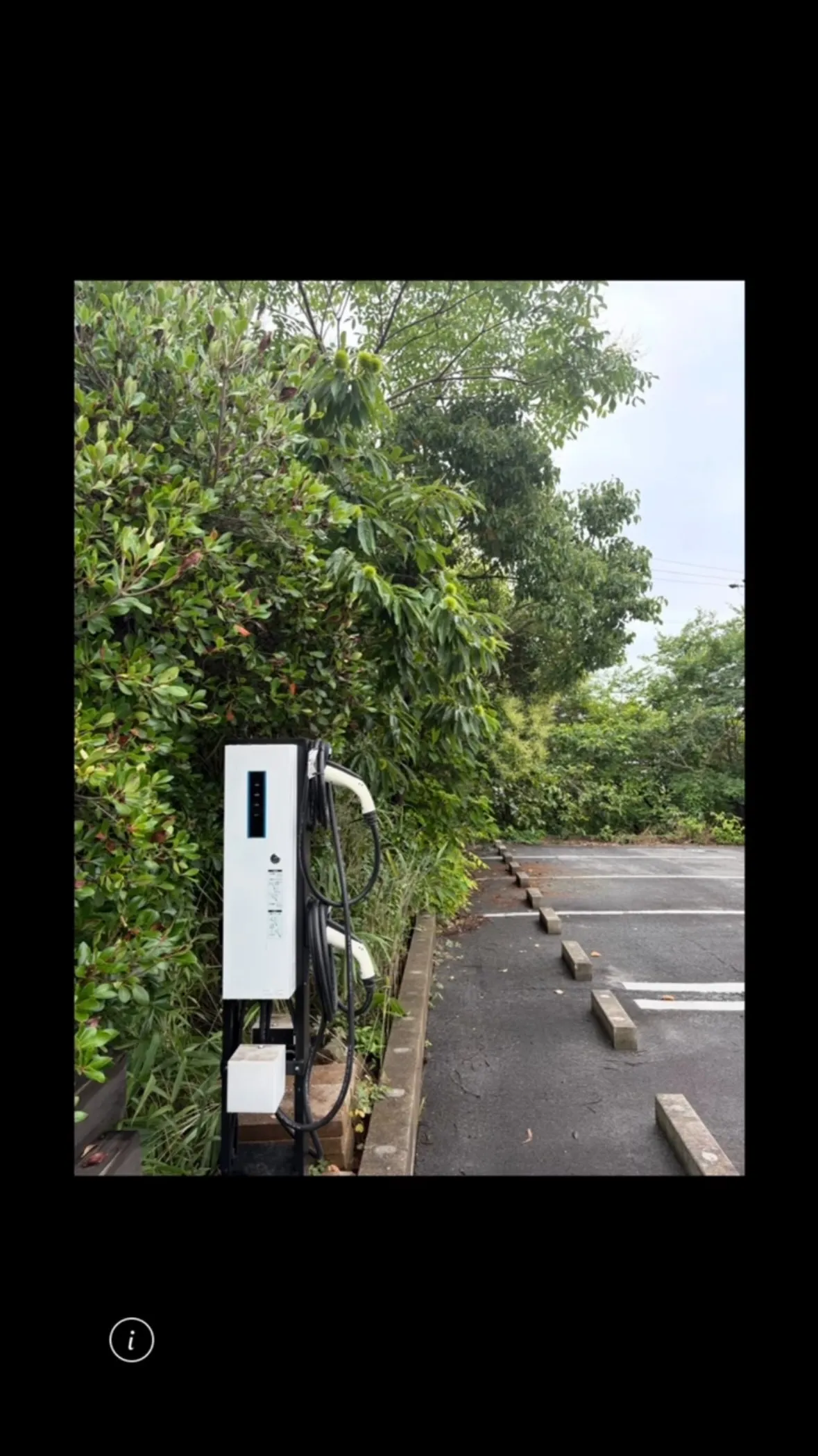 初日の駐車場のビフォーアフターになります✨😊