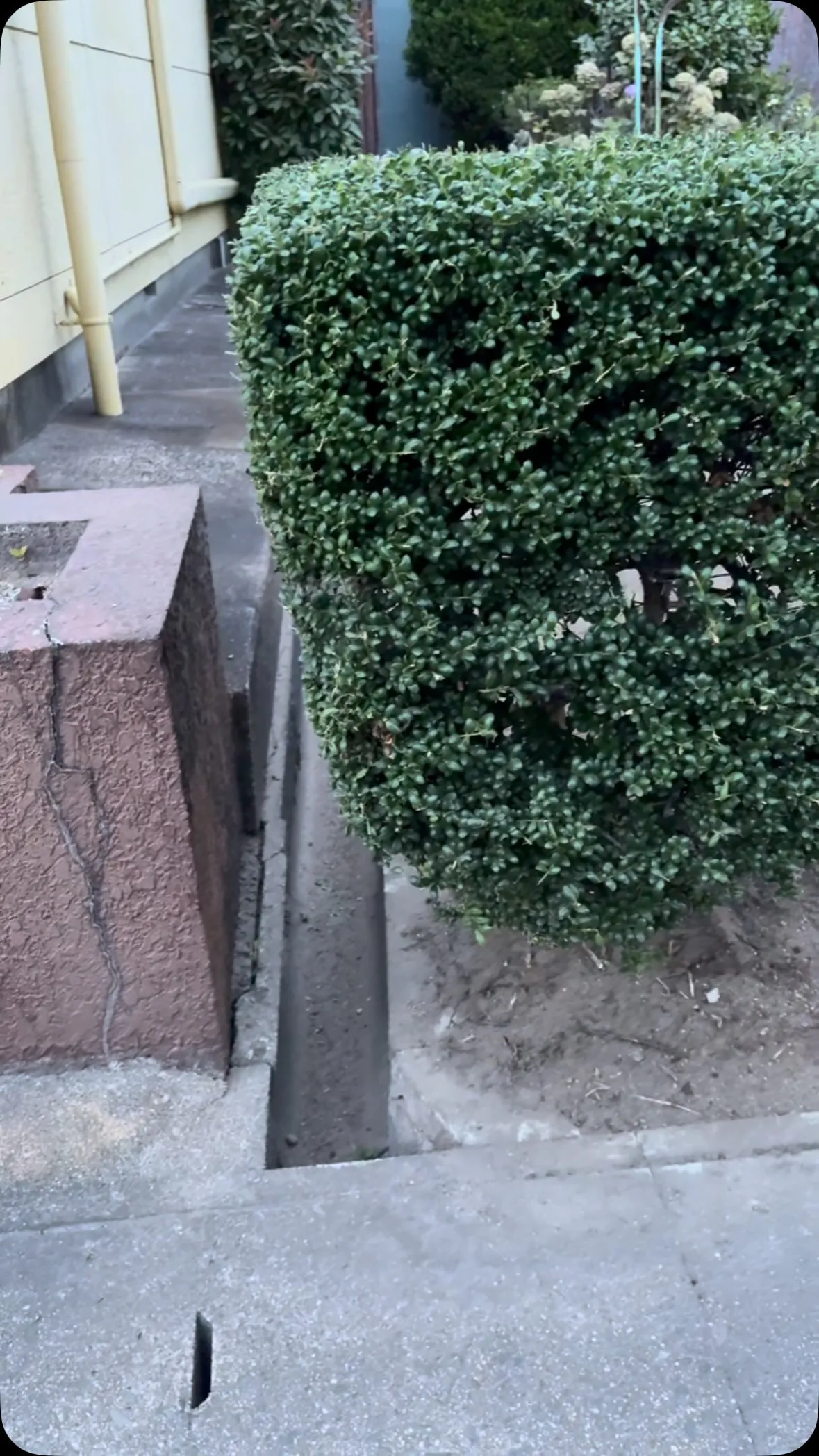 ただいま〜⭐️クッタクタで〜す🤣🤣🤣