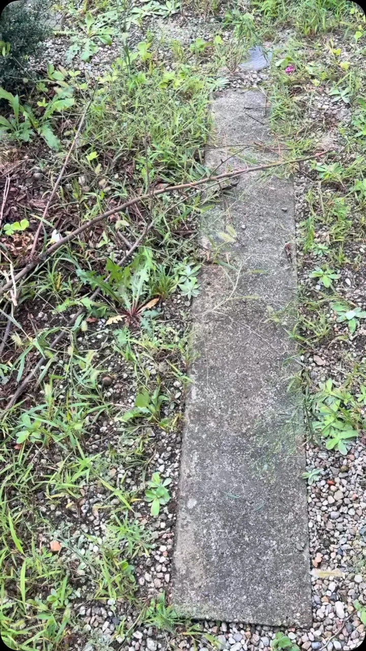 今回は、ご実家の草刈りと伐採のお仕事を頂きました。