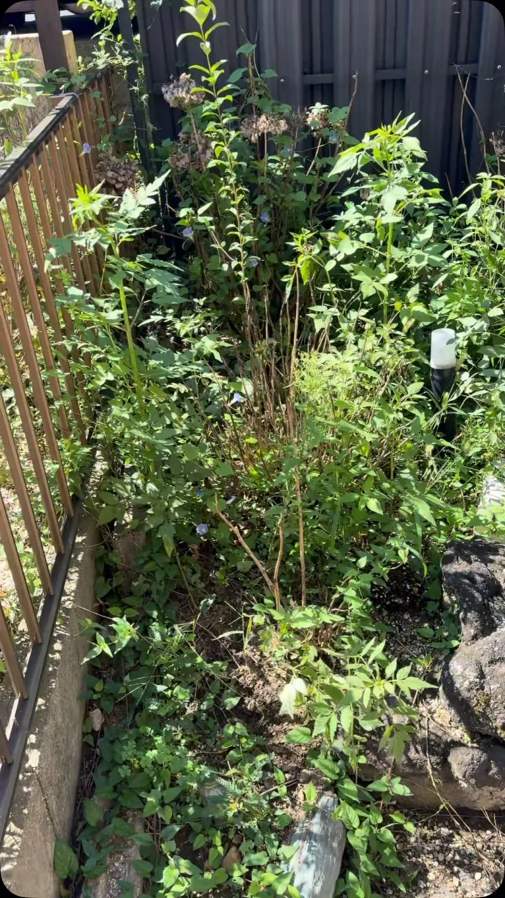 今日は、機械を一切使わない、全て手抜きの手作業のご依頼を頂き...